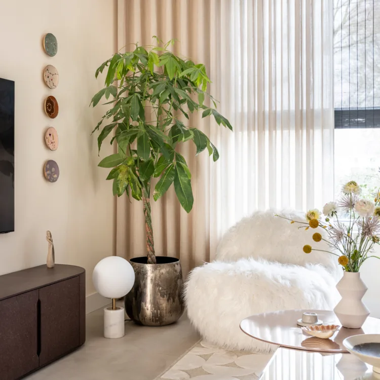 Vtwonen make-over Badhoevedorp seizoen 20 aflevering 6