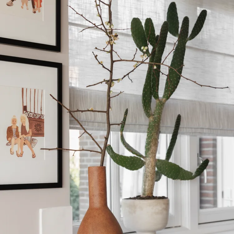 vtwonen seizoen 18 afl. 7 - Woubrugge woonkamer elektrische vouwgordijnen